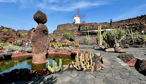 Jardín de Cactus en Guatiza - Teguise - Lanzarote - Última obra de César Manrique  - ANTONIO MARIN SEGOVIA