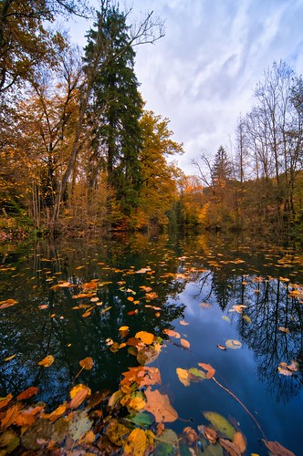 Autumnal Lake