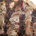Silicified stromatolite boundstone with oolites & sinuous stromatolites (Biwabik Iron-Formation, Paleoproterozoic, ~1.878 Ga; near Mary Ellen Mine, near Biwabik, Minnesota, USA) 25