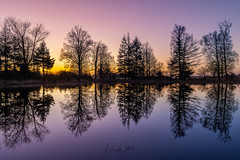 Tranquil Morning Reflections at Aekingerzand Pond