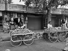 People in India: Selling Fruits