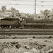 NSWGR 4-6-0 3524 loco at Gosford, 29 August 1964