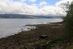 Loch Fyne at Minard