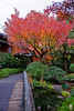Jardin japonais Yuushien