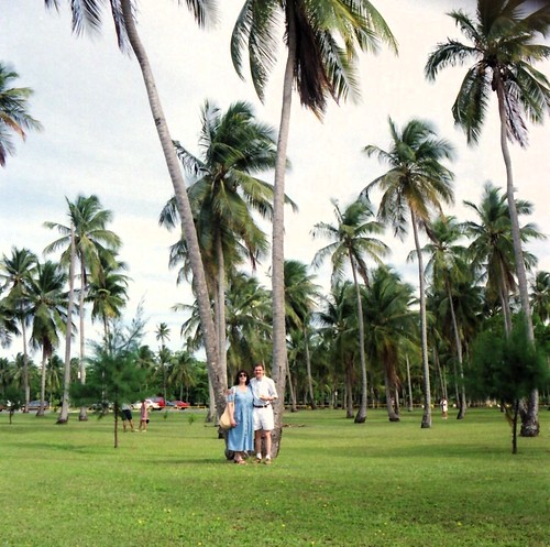 San Juan - Luquillo Beach Palms