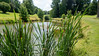 20230623_140202_Golfreis Belgie • <a style="font-size:0.8em;" href="http://www.flickr.com/photos/22712501@N04/53502249502/" target="_blank">View on Flickr</a>