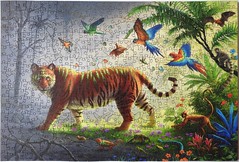 Jungle Tigers images