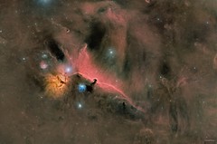 B33 The Horsehead Nebula
