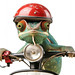 Chameleon mit Helm auf Roller