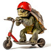 Schildkröte mit Helm auf Roller