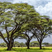 Kajiado County, Kenia