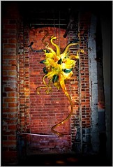 Toronto Ontario - Canada  ~ Dale Chihuly Designs ~ First Major Exhibition Here in 2003 ~ Explore - Glass Art