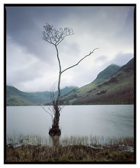 G_Buttermere_PORTRA160_03