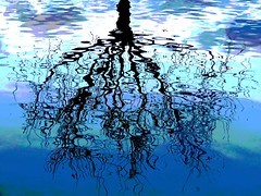 Tree of Life, Winter Reflections