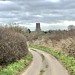 Lavenham Church tower from Park Road