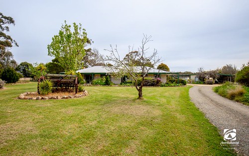 40 Heaney's Road, Forge Creek VIC