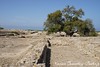 Cap Bon - Site archeologique de Kerkouane