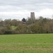 Lavenham Church tower from Park Road 2
