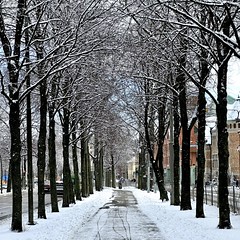 The New Alley in Winter