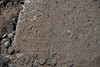 Footprint at Boca Negra Canyon, Petroglyphs National Monument