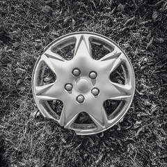 Hubcap on the Lawn