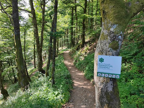 Col de la Schlucht, Einstieg zum Sentier des Roches