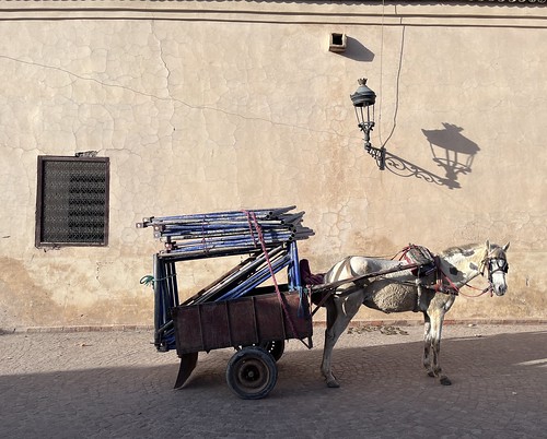 Work Caleche (Marrakech, Morocco)