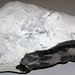 Chert nodule in chalk (Upper Cretaceous; White Cliffs of Dover, England) 7
