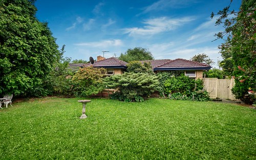 101 Husband Rd, Forest Hill VIC 3131