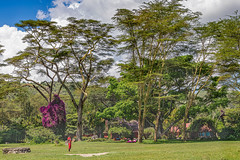 Naivasha, Kenya