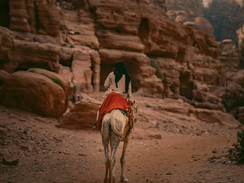 Arabian Journey