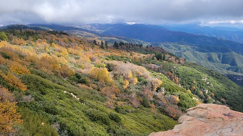 San Bernardino Mountains in Fall