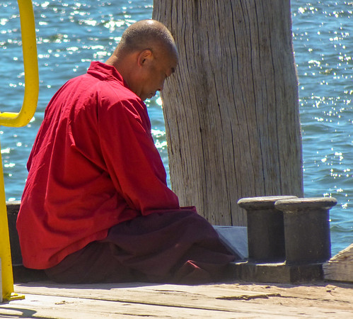 A Monk's Contemplation