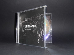 Leeland images