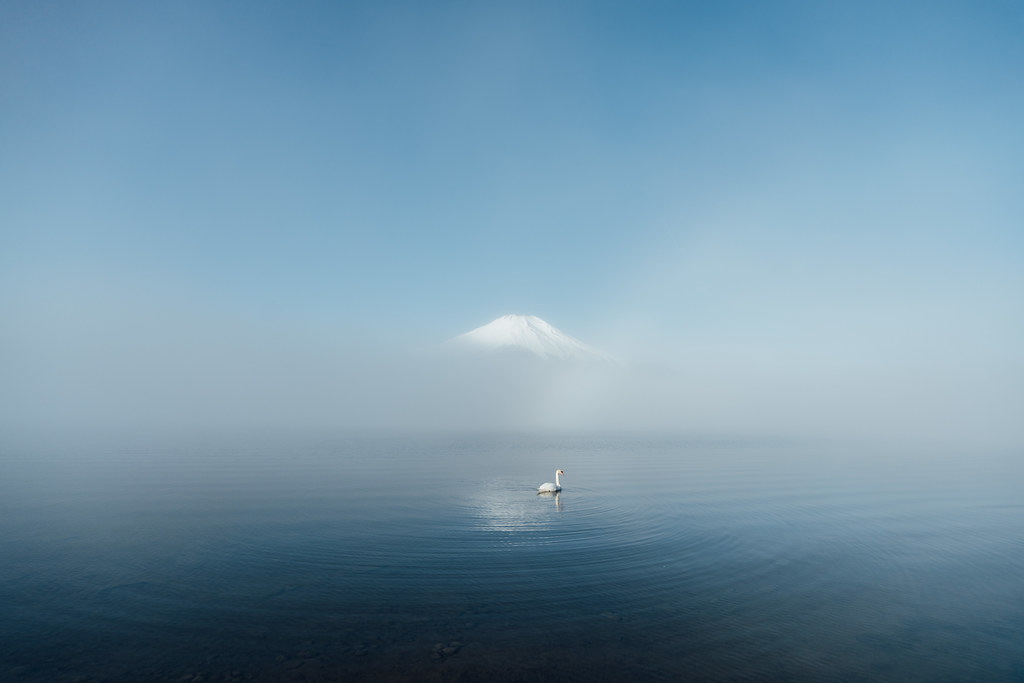 富士山攝影景點｜富士山必拍位置，從清晨等待逆富士，在這遇見富士山與天鵝，山中湖長池清水公園