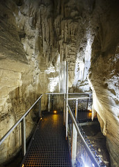 Ruakuri Cave XI