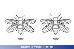 Raster To Vector Tracing