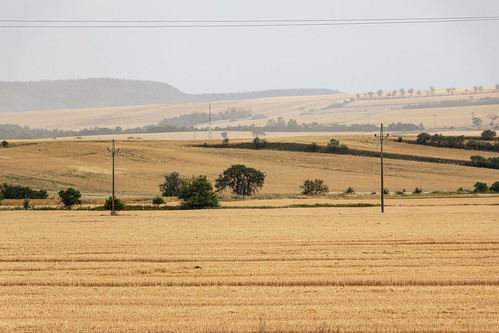 Farmland Harvested, Mradice, Bohemia, Czechia