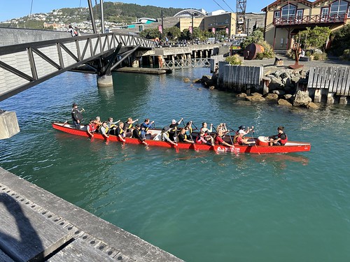 Dragon boat practice in Wellington harbour