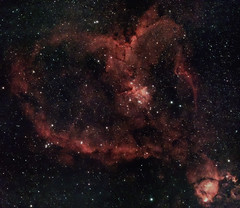 IC 1805 and IC 1795, The Heart and Fish Head Nebulas