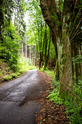 Road Bend, Krásný Les, Bohemia, Czechia