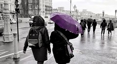 Purple Rain in Brighton.....