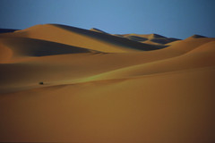 Algeria - dune