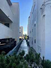 Alleyway in West Hollywood