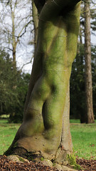 Sculptured by Nature