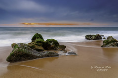 Landscape in Concha beach, S. Pedro de Moel. Marinha Grande, Leiria. Portugal       Grande