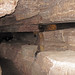 Pahasapa Limestone (Lower Mississippian; Wind Cave, Black Hills, South Dakota, USA) 27
