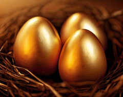 Nest Eggs