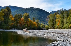 Fall Colours along Inch Creek