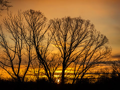 West Milford Sunrise_0309